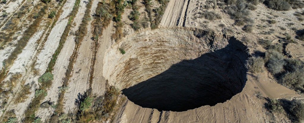 www.sciencealert.com