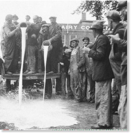 dairy farmers dump milk