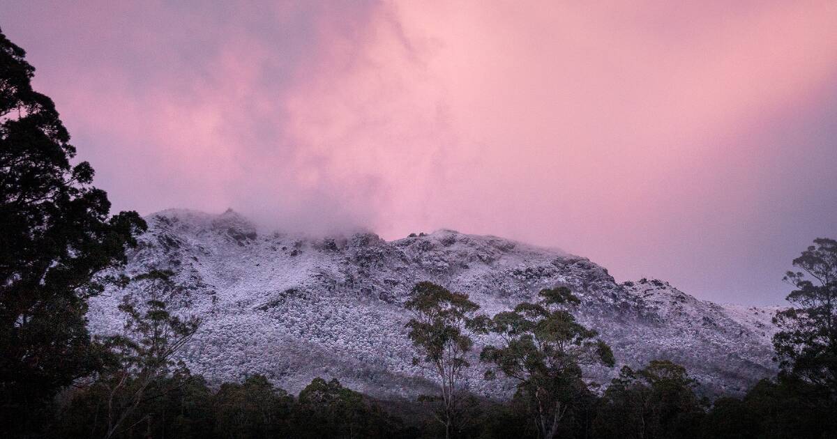 www.theadvocate.com.au