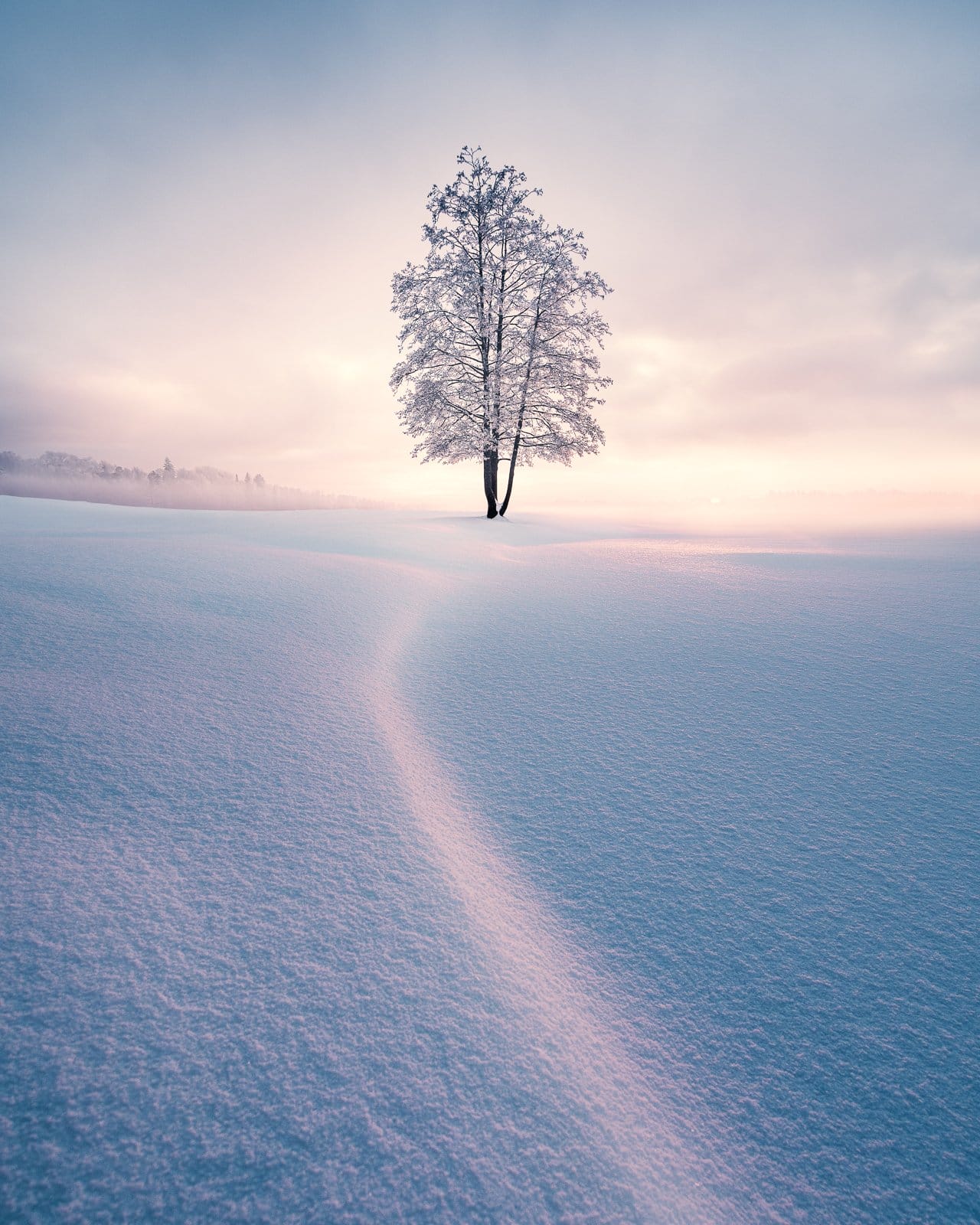 Mikko-Lagerstedt-Winter-Solitude.jpeg